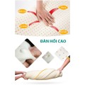 Gối Cao Su Non KAW cho Văn Phòng, Hỗ Trợ Cột Sống, Ngủ Ngon Tại Bàn Làm Việc